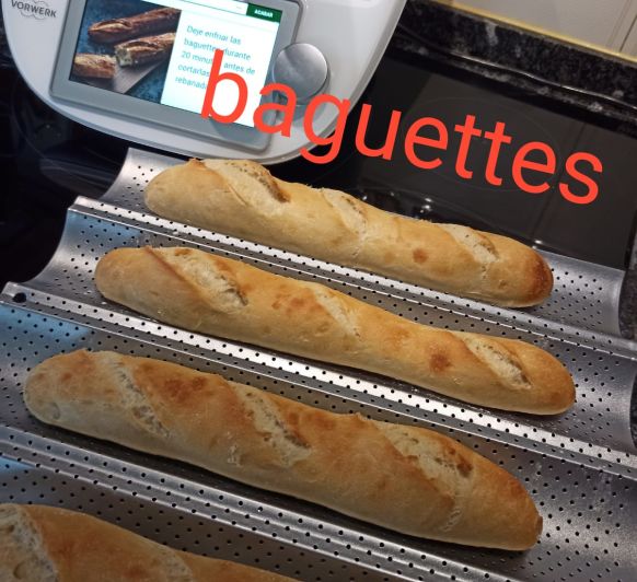 Baguettes con Thermomix® .
